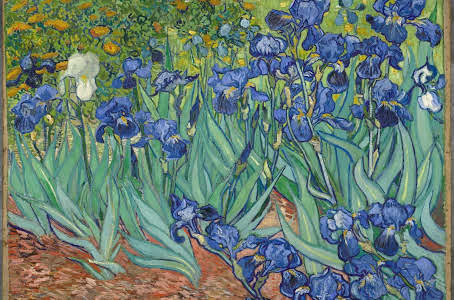 L'oeuvre de Vincent Van Gogh: Les iris